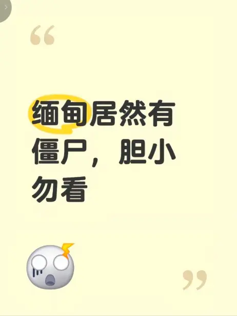 《缅甸僵尸出土事件》最新高清完整版在线免费播放-揭秘缅北僵尸出土事件真相-缅甸僵尸出土事件视频资源下载