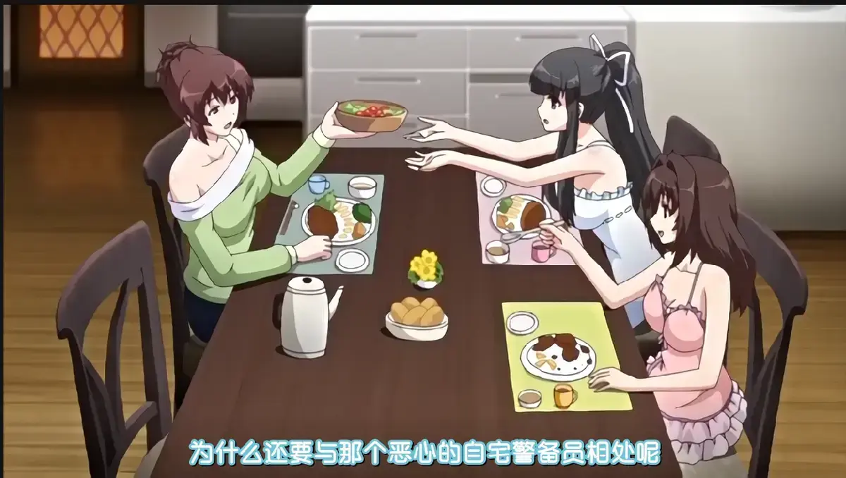 《自宅警备员》全集1080P高清画质播放-《自宅警备员》无删减版免费在线看-支持手机端无需会员畅享